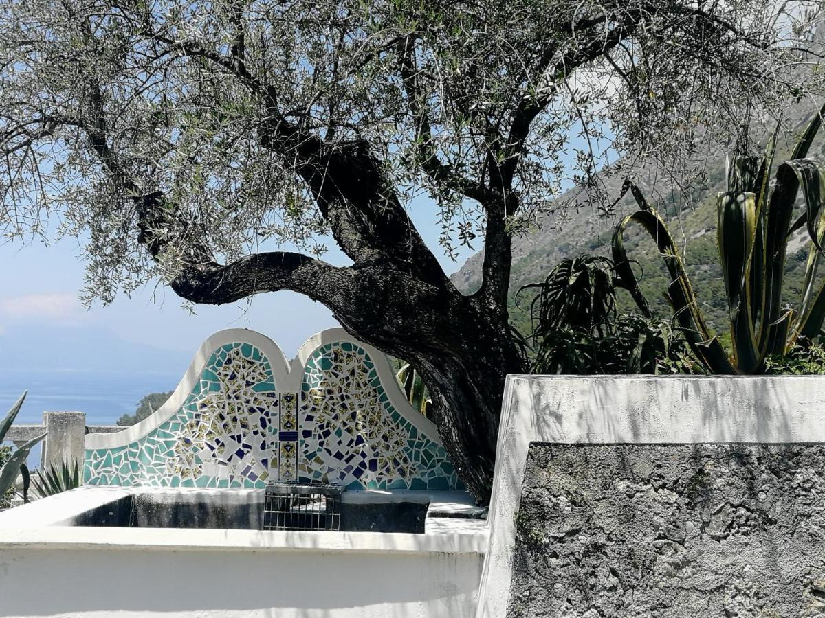 Villa Venezuela 1° Piano マラテーア エクステリア 写真